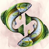 Die intuitiven Fische Ihr Liebeshoroskop für das Sternzeichen Fische