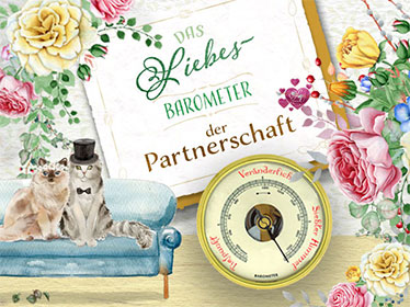 Das Liebesbarometer der Partnerschaft - kostenloser Liebestest mit Namen