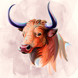 Ihr Liebeshoroskop für das Sternzeichen Stier