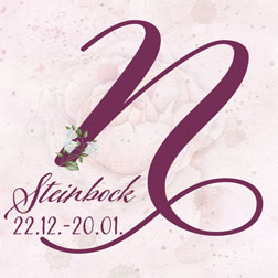 Ihr Partnerschaftshoroskop für heute mit dem Sternzeichen Steinbock