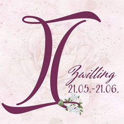 Ihr Partnerschaftshoroskop  für heute mit dem Sternzeichen Zwilling
