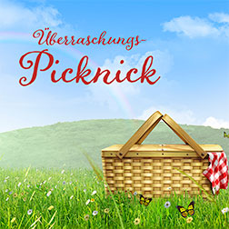 Überraschungs-Picknick Romantik-Tipp: Überraschungs-Picknick